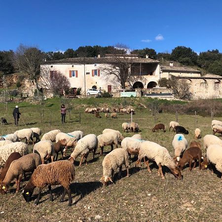 Gites La Ferme Accrochee A La Colline Lagorce  Exterior foto
